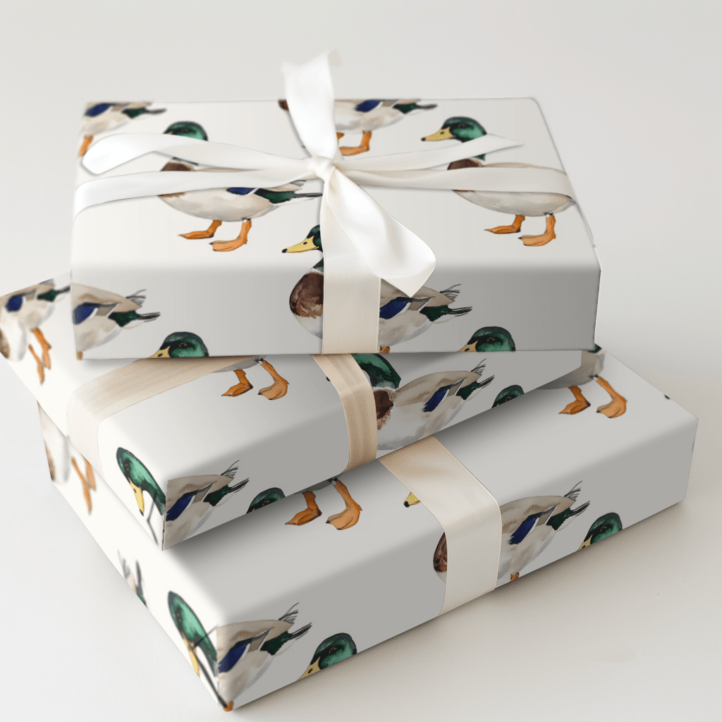 Flock Star - Wrapping Paper - Aspen & Arlo