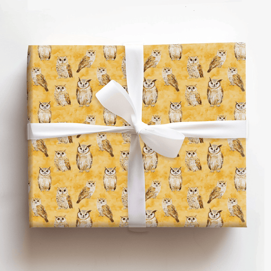 Charley's Jeopardy - Wrapping Paper - Aspen & Arlo