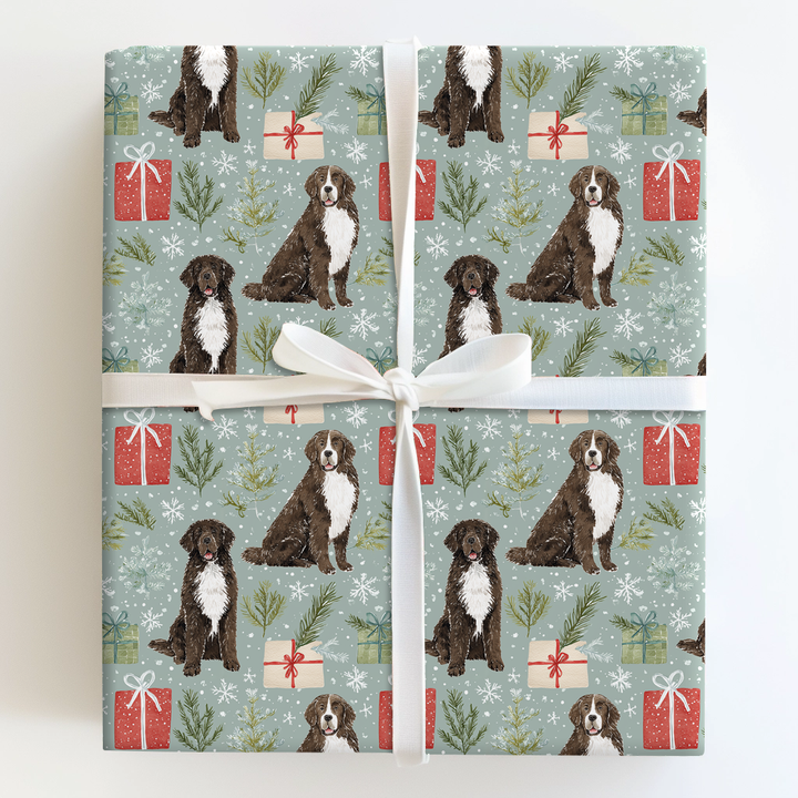 Newfoundland For Christmas