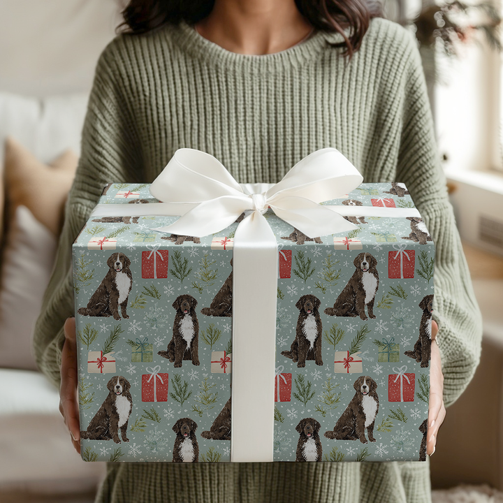 Newfoundland For Christmas