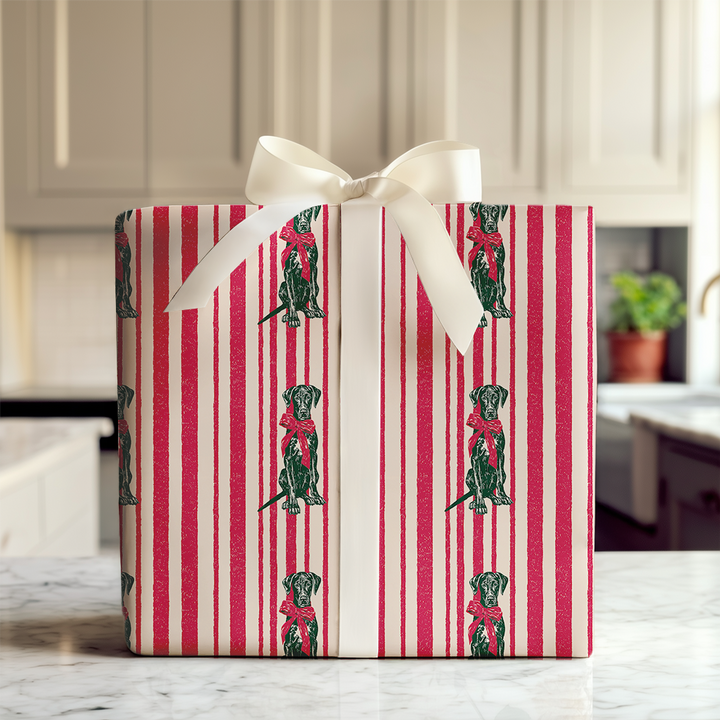 Great Dane Candy Cane