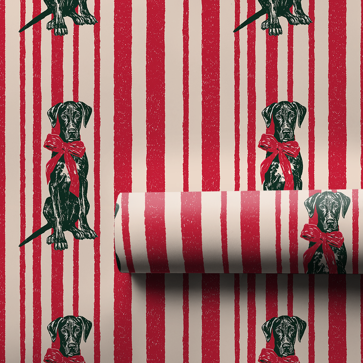 Great Dane Candy Cane