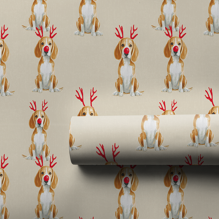 Rudolph the Beagle
