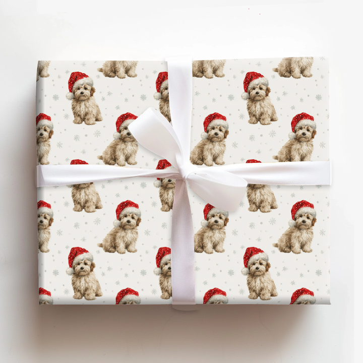 Baby Havanese Claus