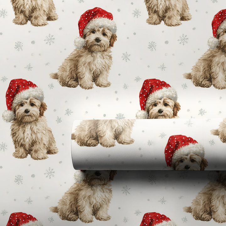 Baby Havanese Claus