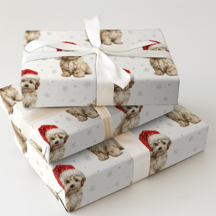 Baby Havanese Claus