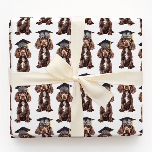 English Springer Graduate - Wrapping Paper - Aspen & Arlo