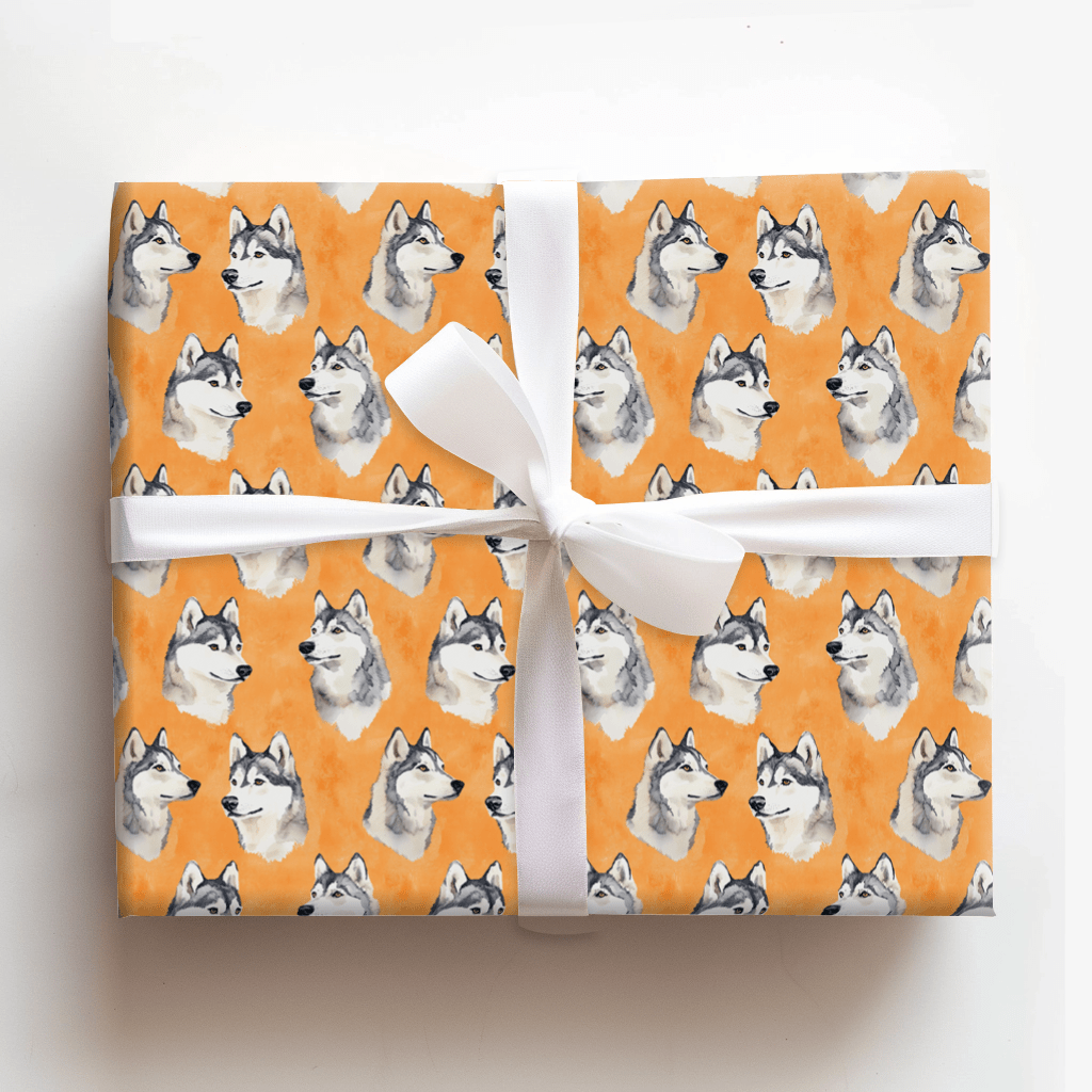 Go Husky Orange - Wrapping Paper - Aspen & Arlo
