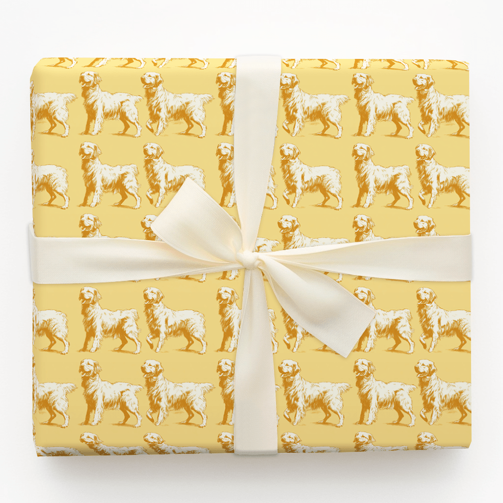 Chasing Sunshine Dreams - Wrapping Paper - Aspen & Arlo