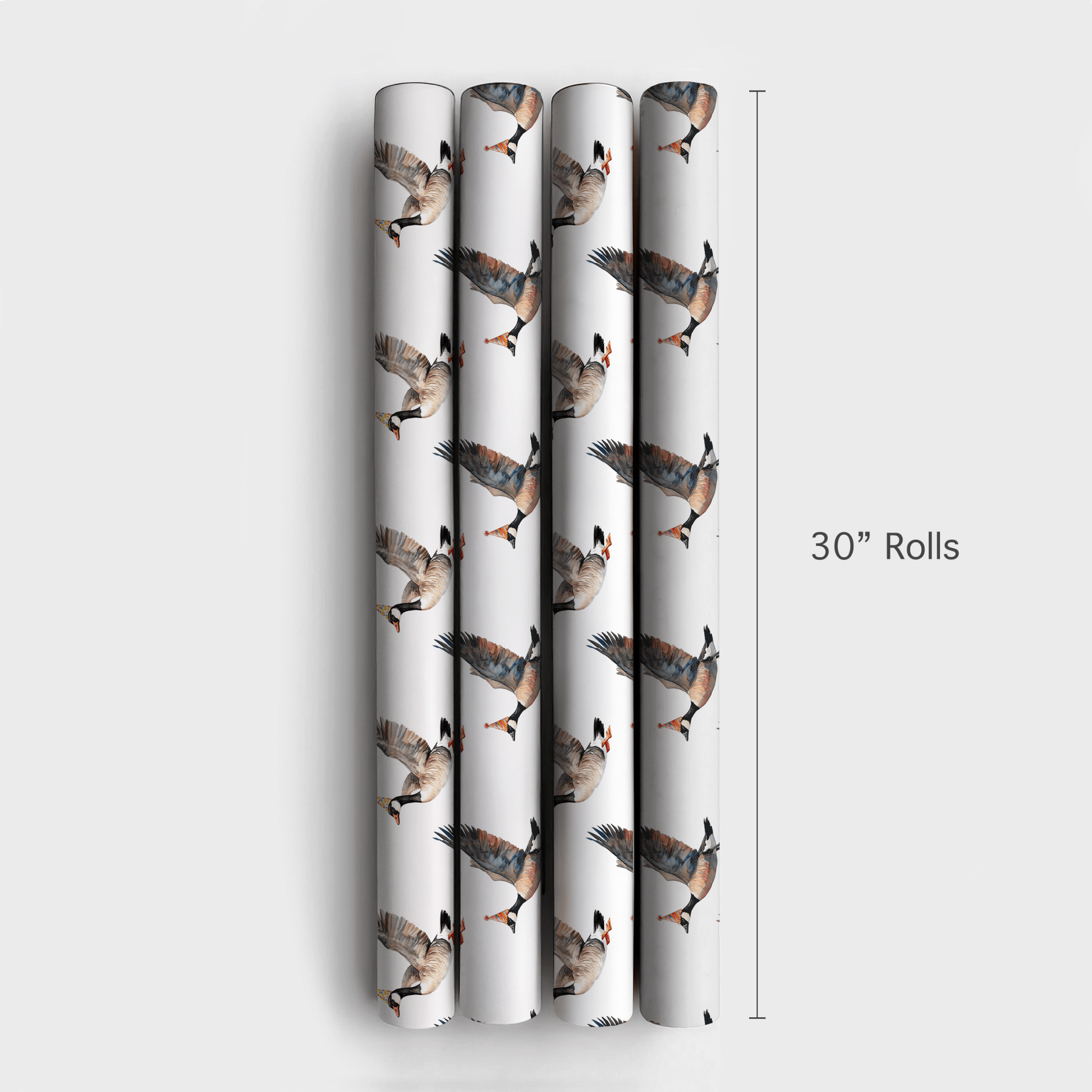 Party Fowl - Wrapping Paper - Aspen & Arlo