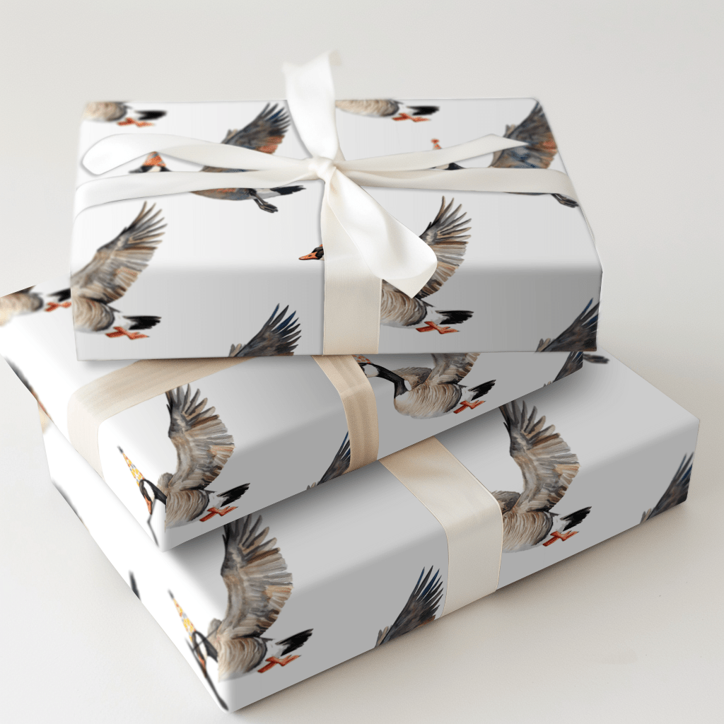 Party Fowl - Wrapping Paper - Aspen & Arlo