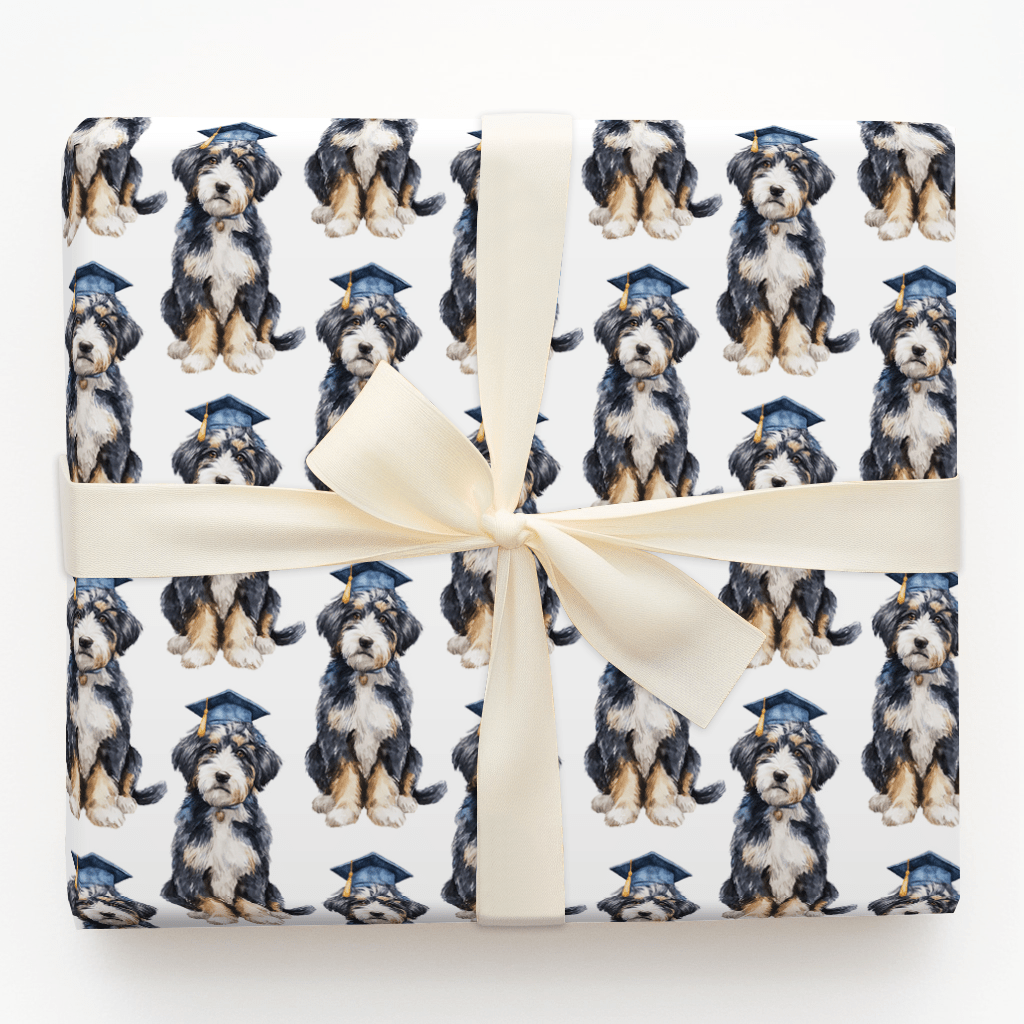 Furst in Class - Wrapping Paper - Aspen & Arlo