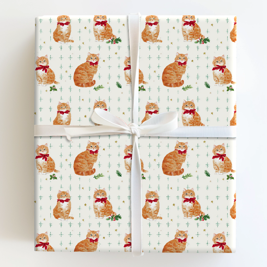Orange Cat Festivities
