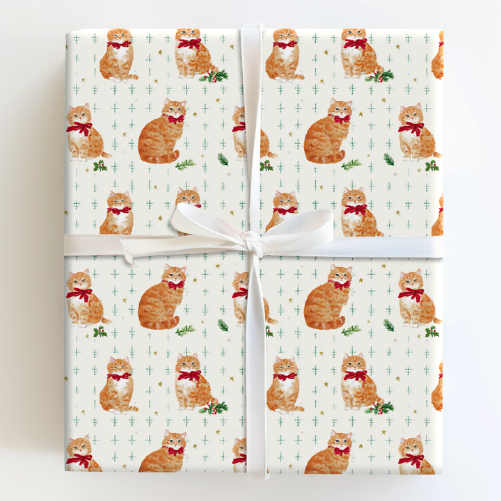 Orange Cat Festivities