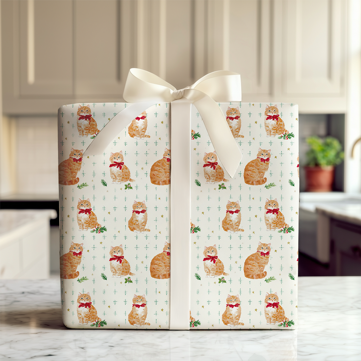 Orange Cat Festivities