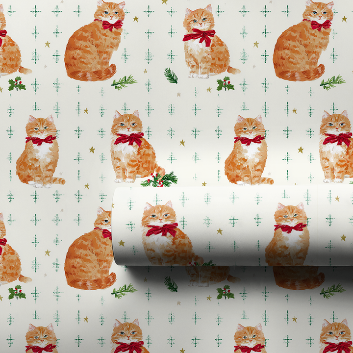 Orange Cat Festivities