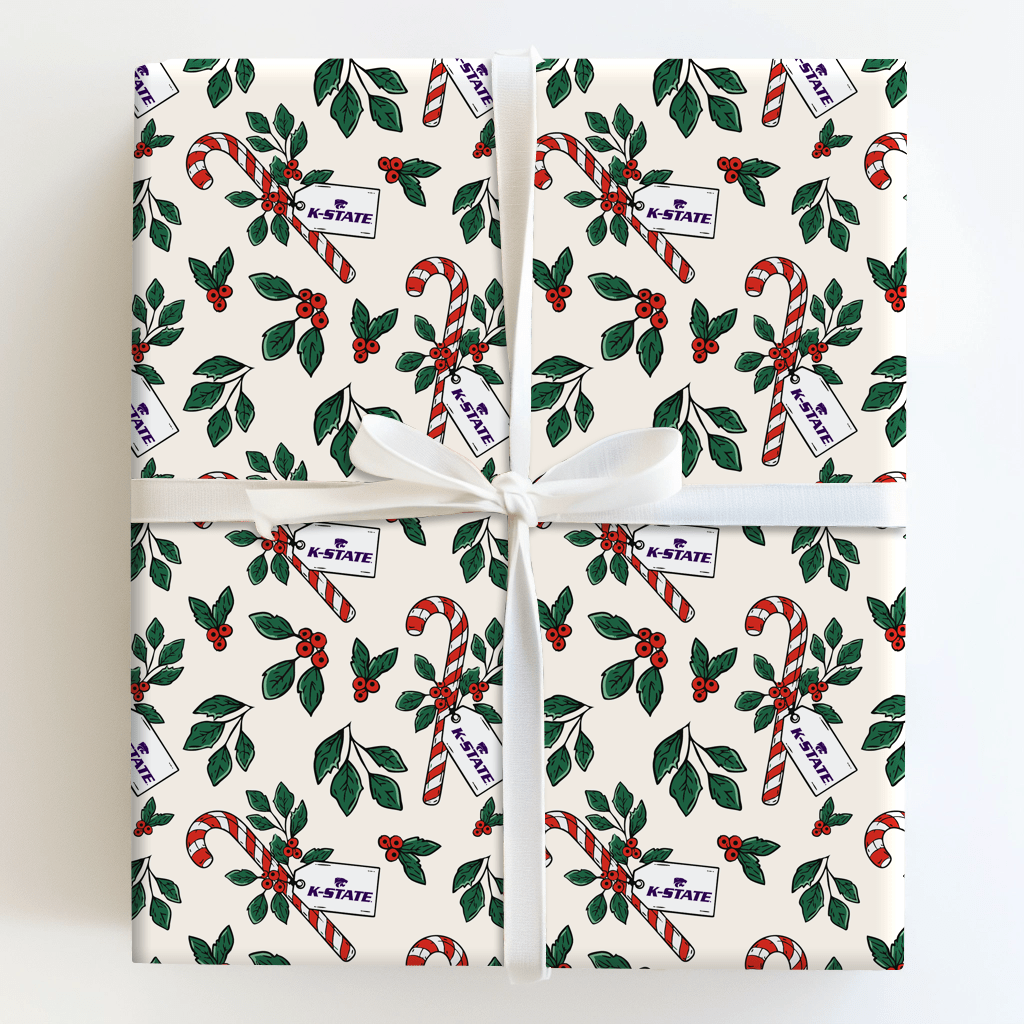 Peppermint WIldcat - Wrapping Paper - Aspen & Arlo