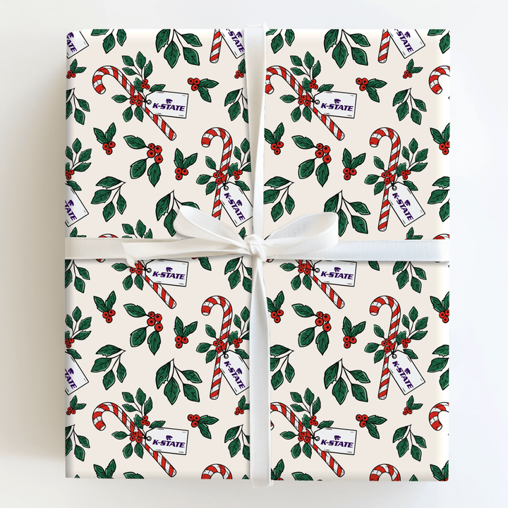Peppermint WIldcat - Wrapping Paper - Aspen & Arlo