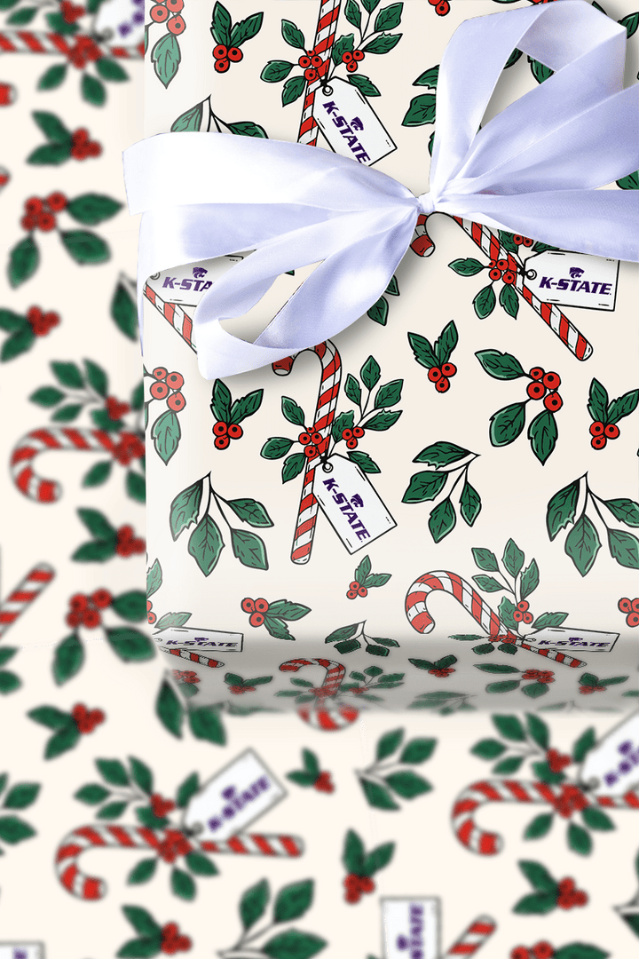 Peppermint WIldcat - Wrapping Paper - Aspen & Arlo