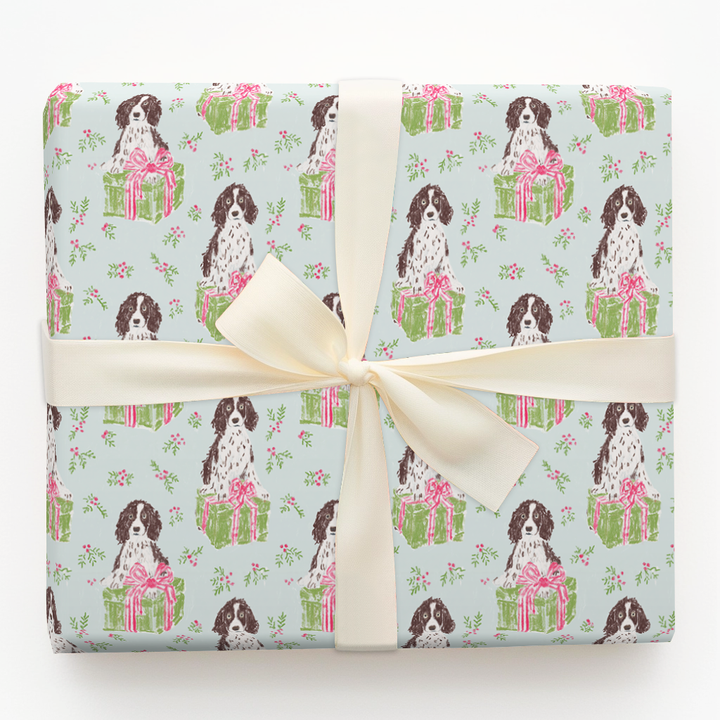 Springer Spaniel for Christmas