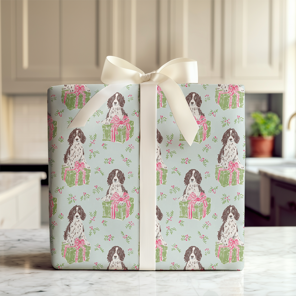 Springer Spaniel for Christmas