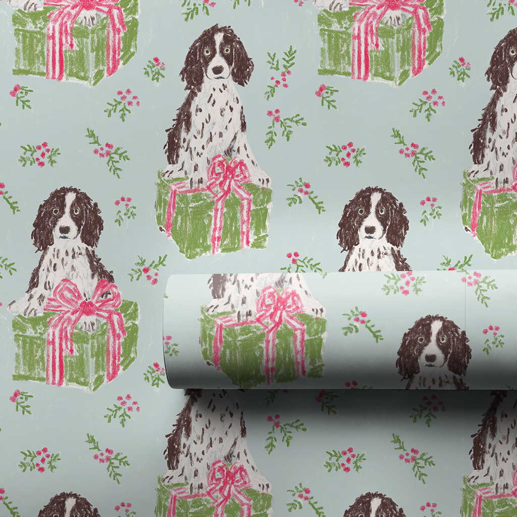 Springer Spaniel for Christmas
