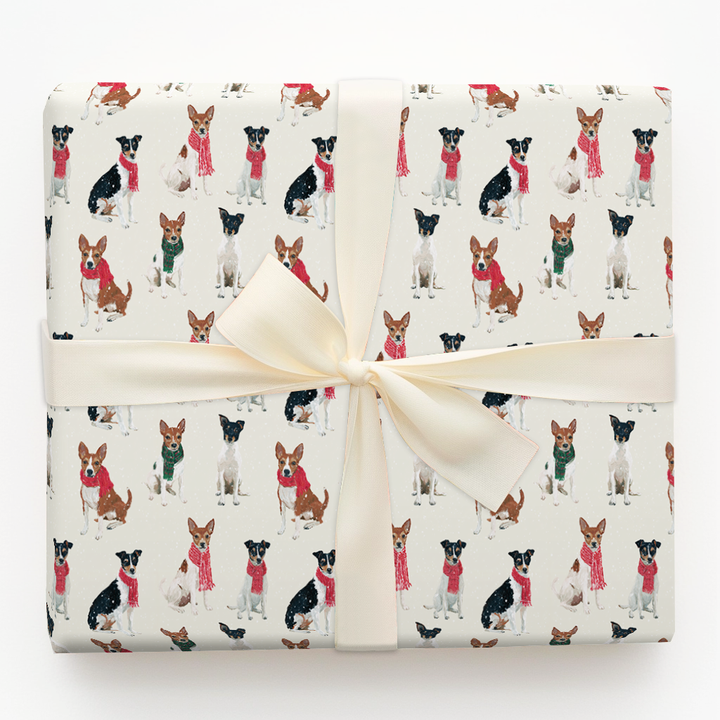 Rat Terrier Wonderland