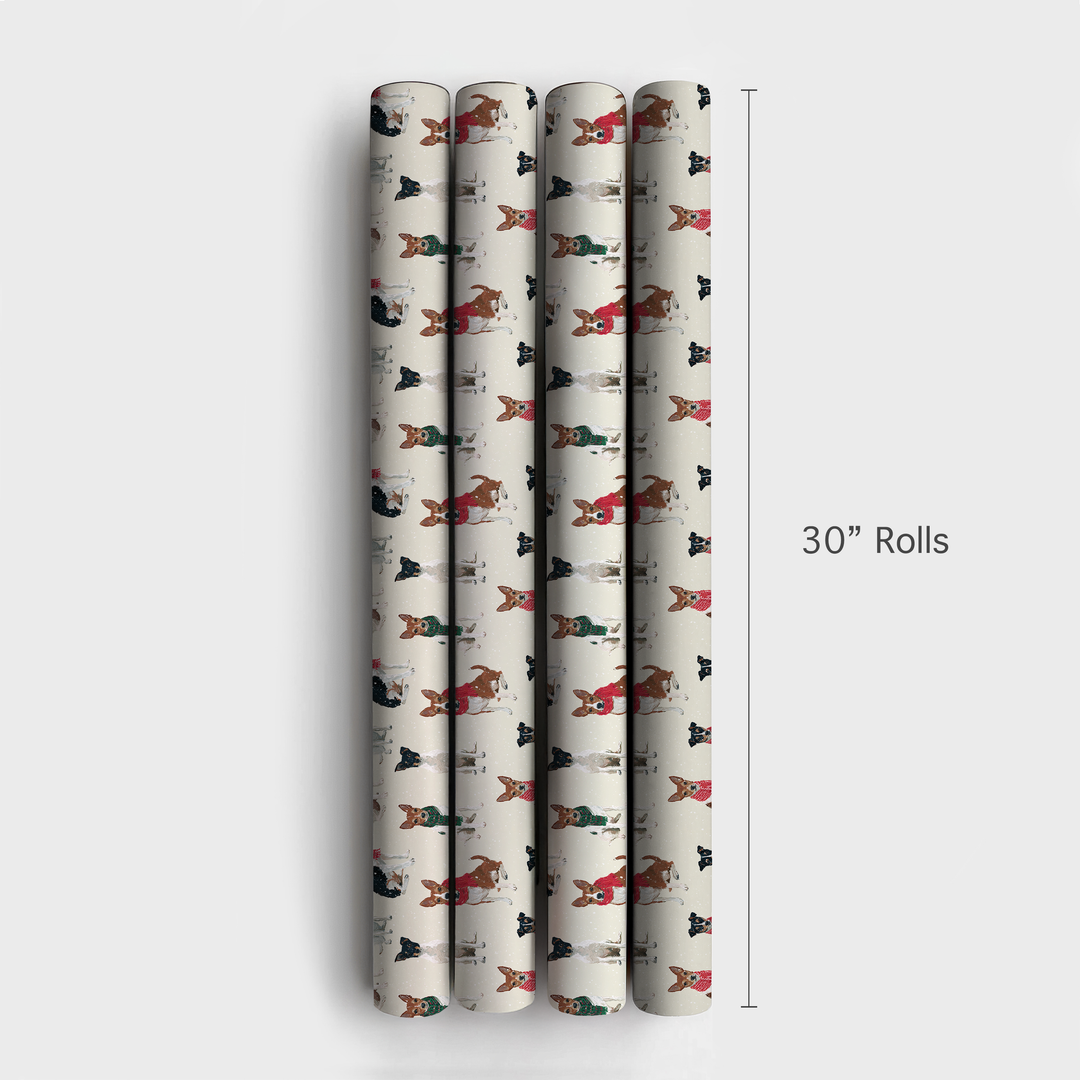 Rat Terrier Wonderland