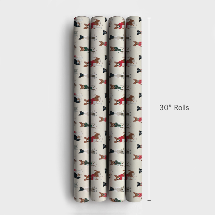 Rat Terrier Wonderland