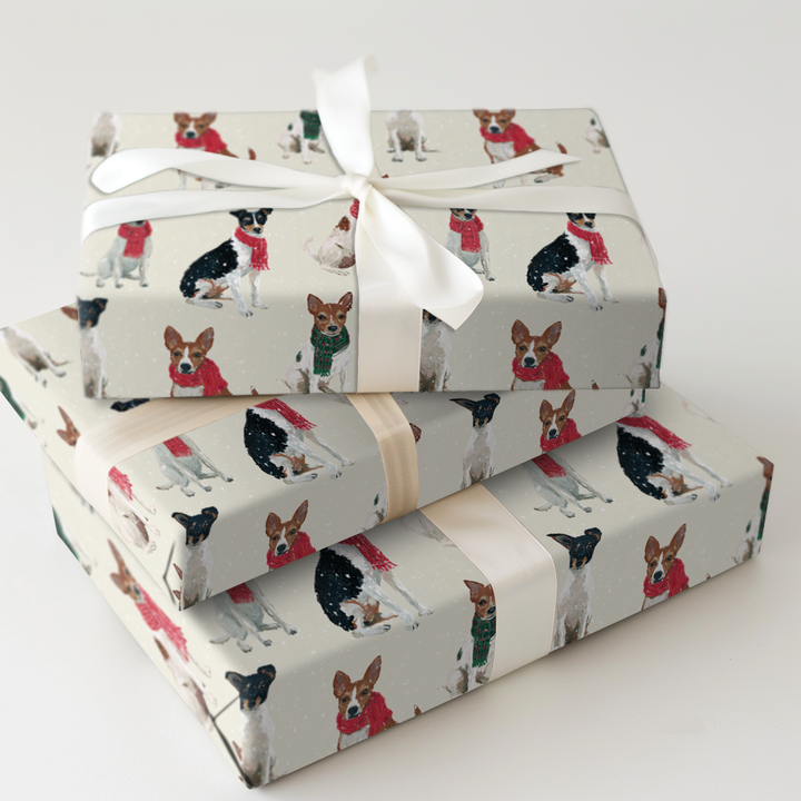 Rat Terrier Wonderland