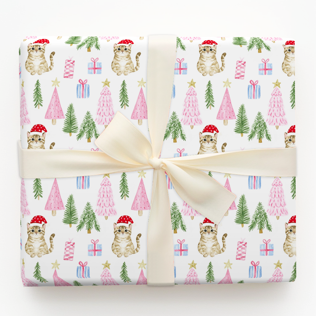 Tabby at Christmas