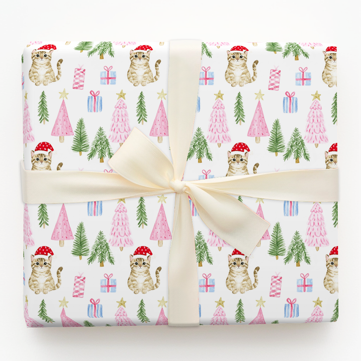 Tabby at Christmas