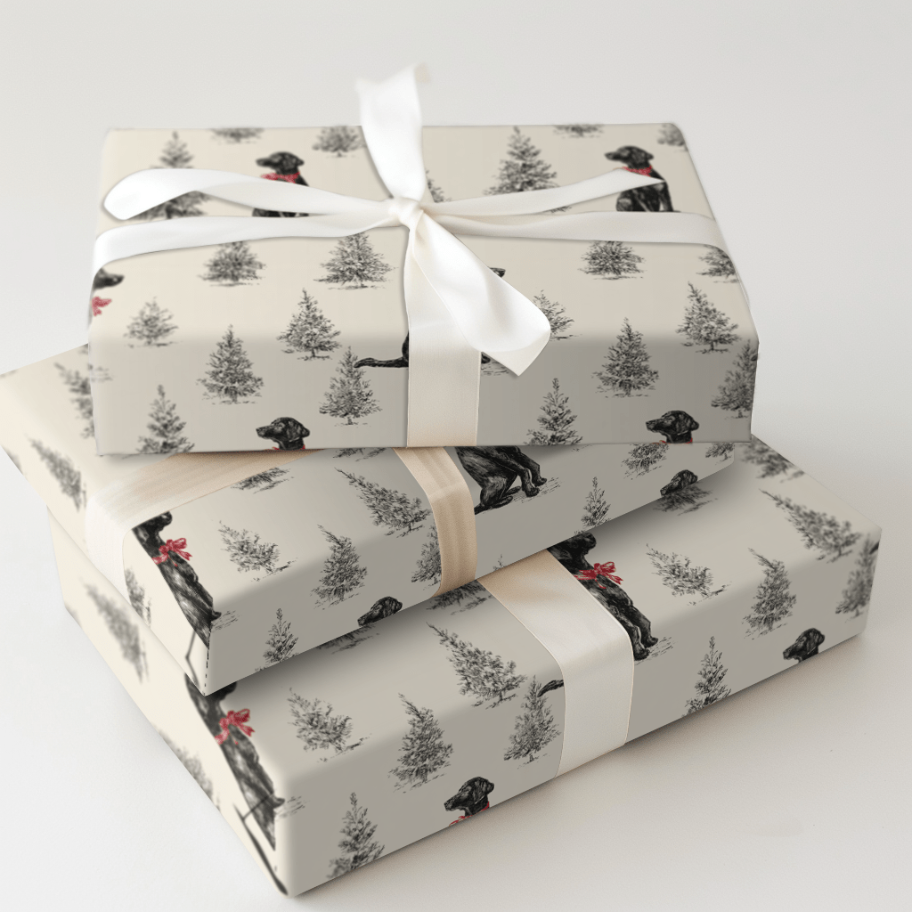 Holiday Point - Wrapping Paper - Aspen & Arlo