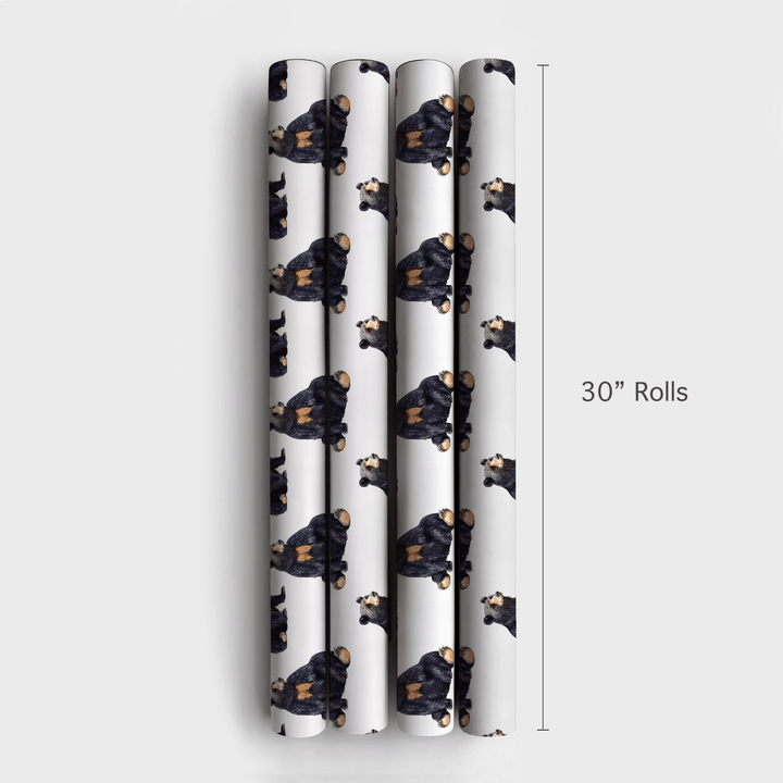 No Time to Hibernate - Wrapping Paper - Aspen & Arlo