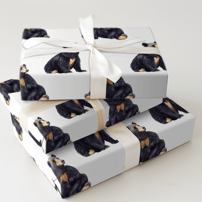 No Time to Hibernate - Wrapping Paper - Aspen & Arlo