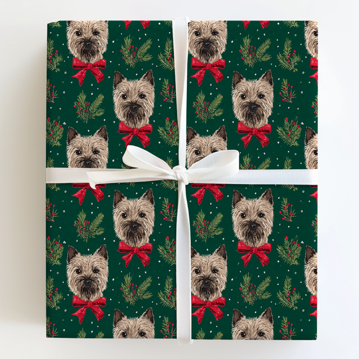 Cairn Terriers & Pine