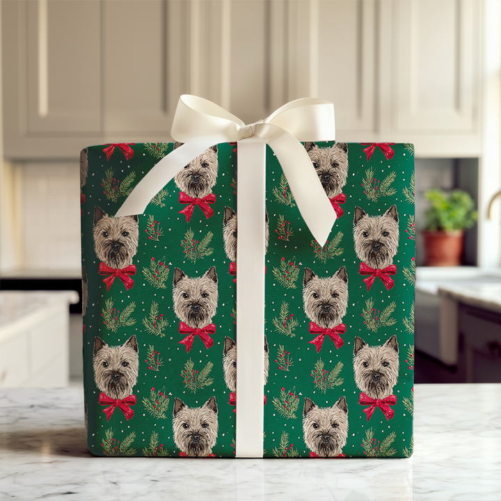 Cairn Terriers & Pine