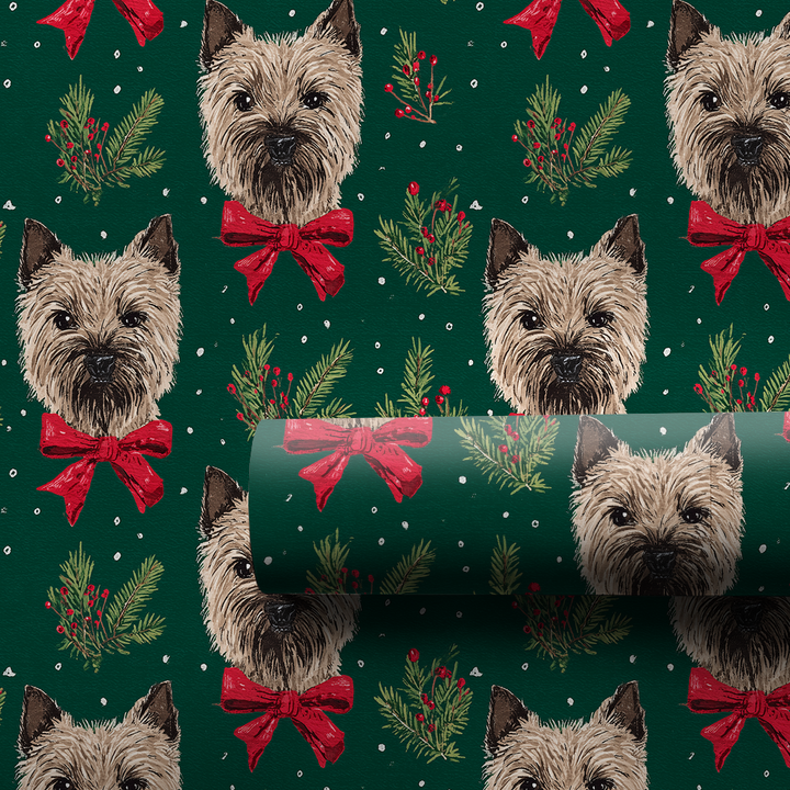 Cairn Terriers & Pine