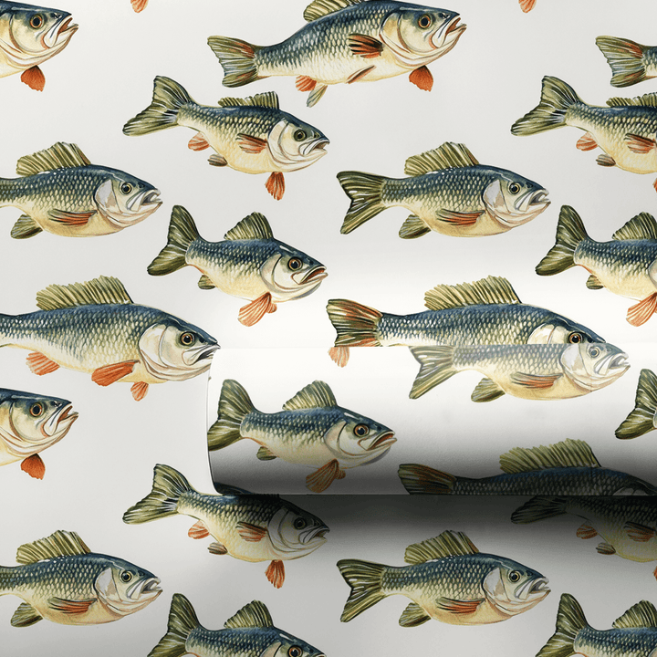 You Bet Your Bass - Wrapping Paper - Aspen & Arlo