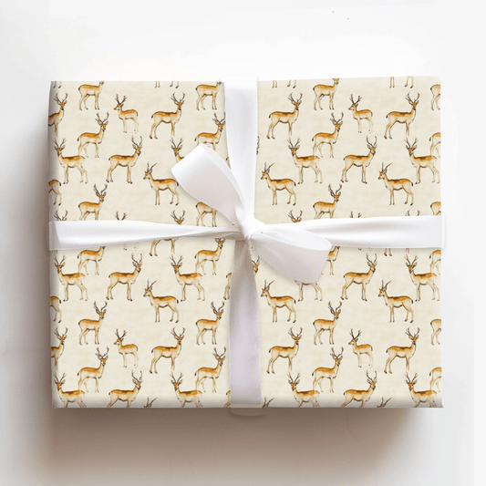 Antelope Felix - Wrapping Paper - Aspen & Arlo