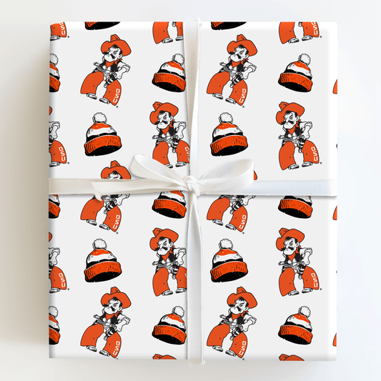 Beanie Pete - Wrapping Paper - Aspen & Arlo