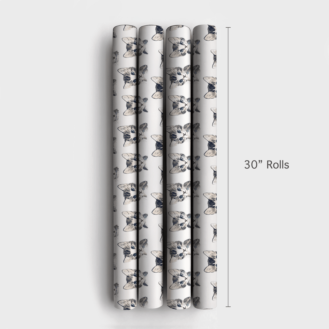Tabby Cat - Wrapping Paper - Aspen & Arlo