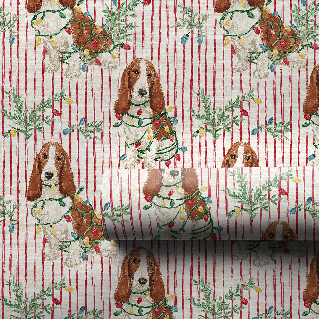 Basset and Bright