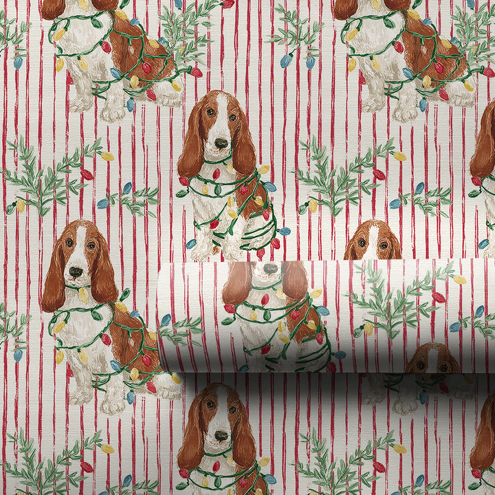Basset and Bright