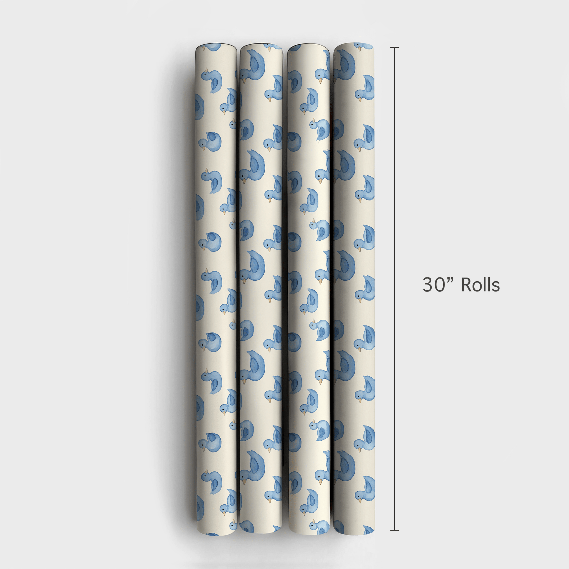 Beak a Boo Blue - Wrapping Paper - Aspen & Arlo
