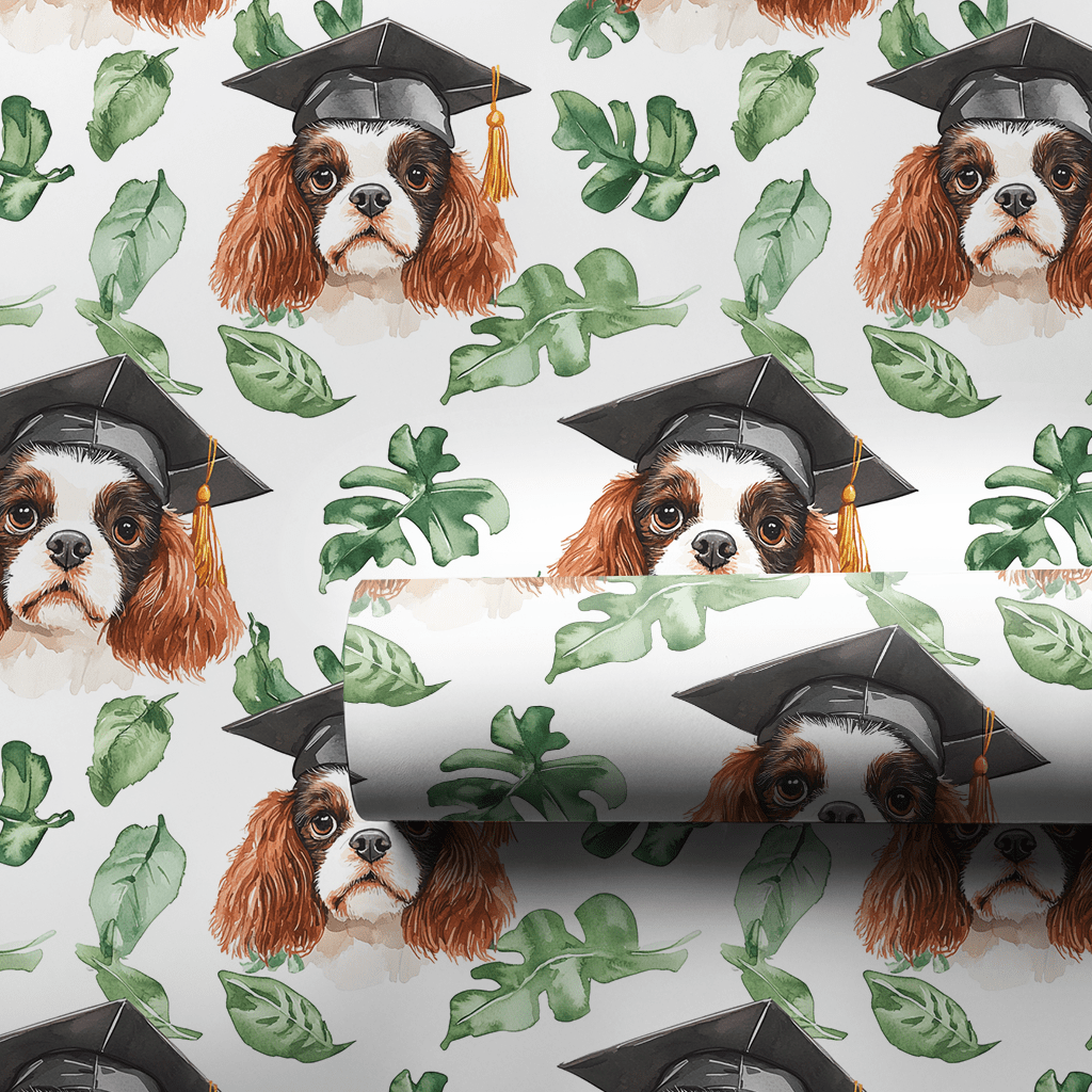 Cavalier King Charles Graduate - Wrapping Paper - Aspen & Arlo