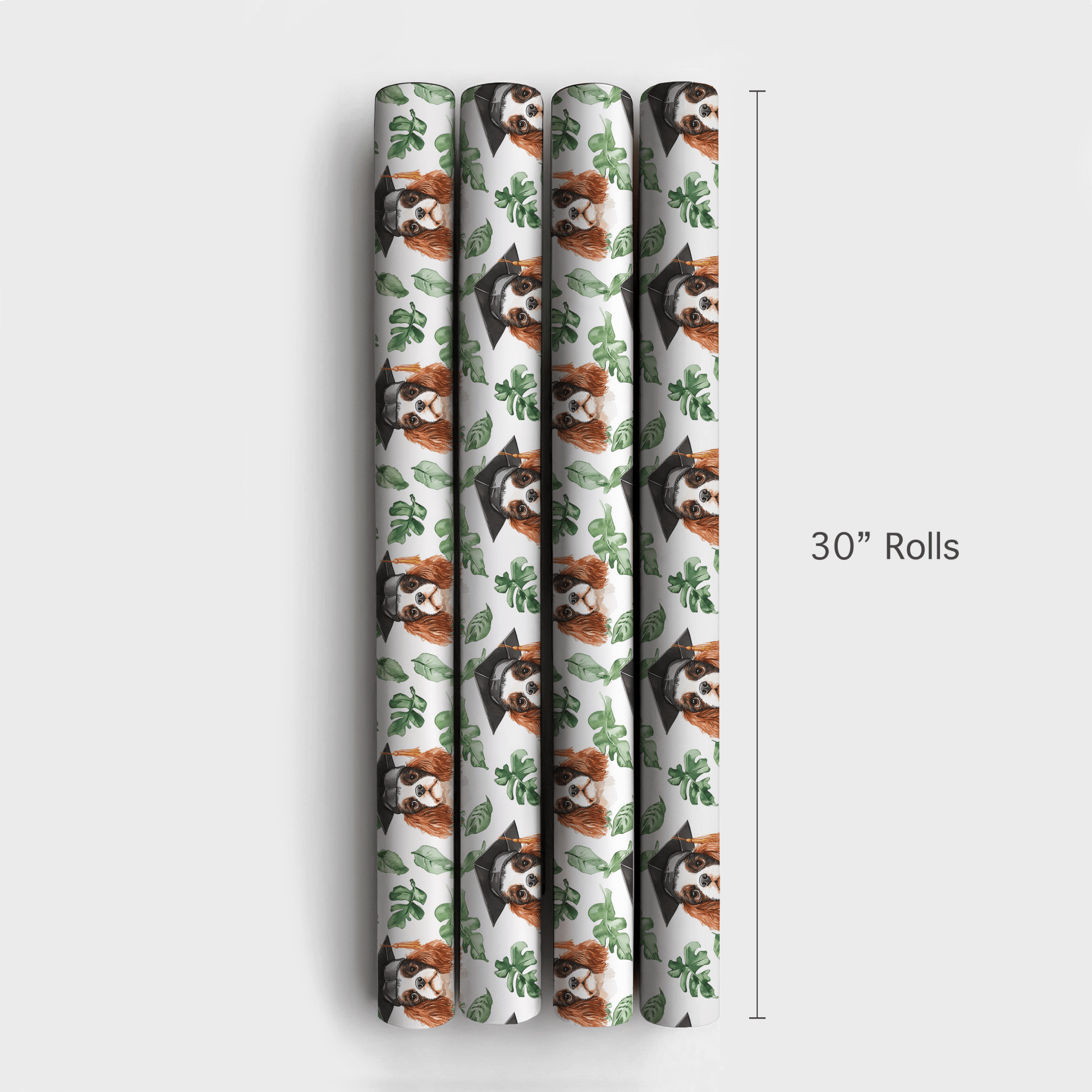 Cavalier King Charles Graduate - Wrapping Paper - Aspen & Arlo