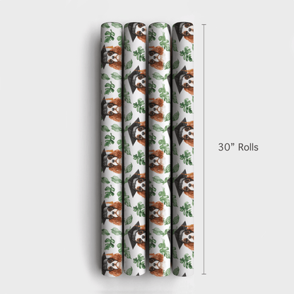 Cavalier King Charles Graduate - Wrapping Paper - Aspen & Arlo