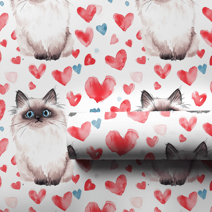Ragdoll Valentine - Wrapping Paper - Aspen & Arlo