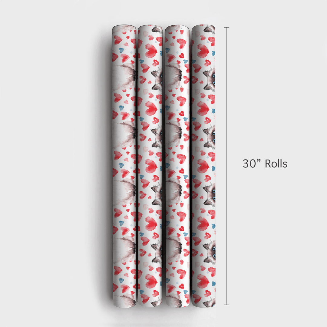 Ragdoll Valentine - Wrapping Paper - Aspen & Arlo